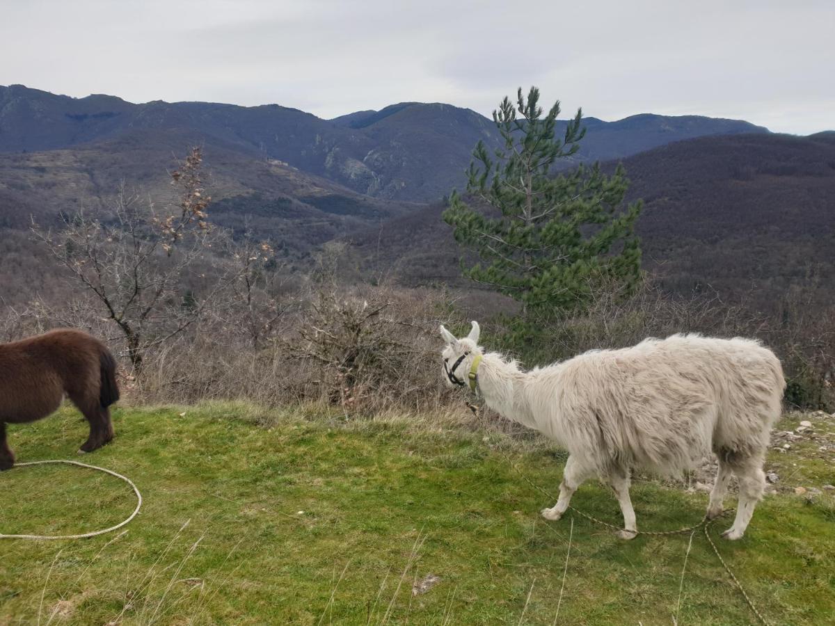 Arre Maison Au Pied Du Parc National Des Cevennesヴィラ エクステリア 写真