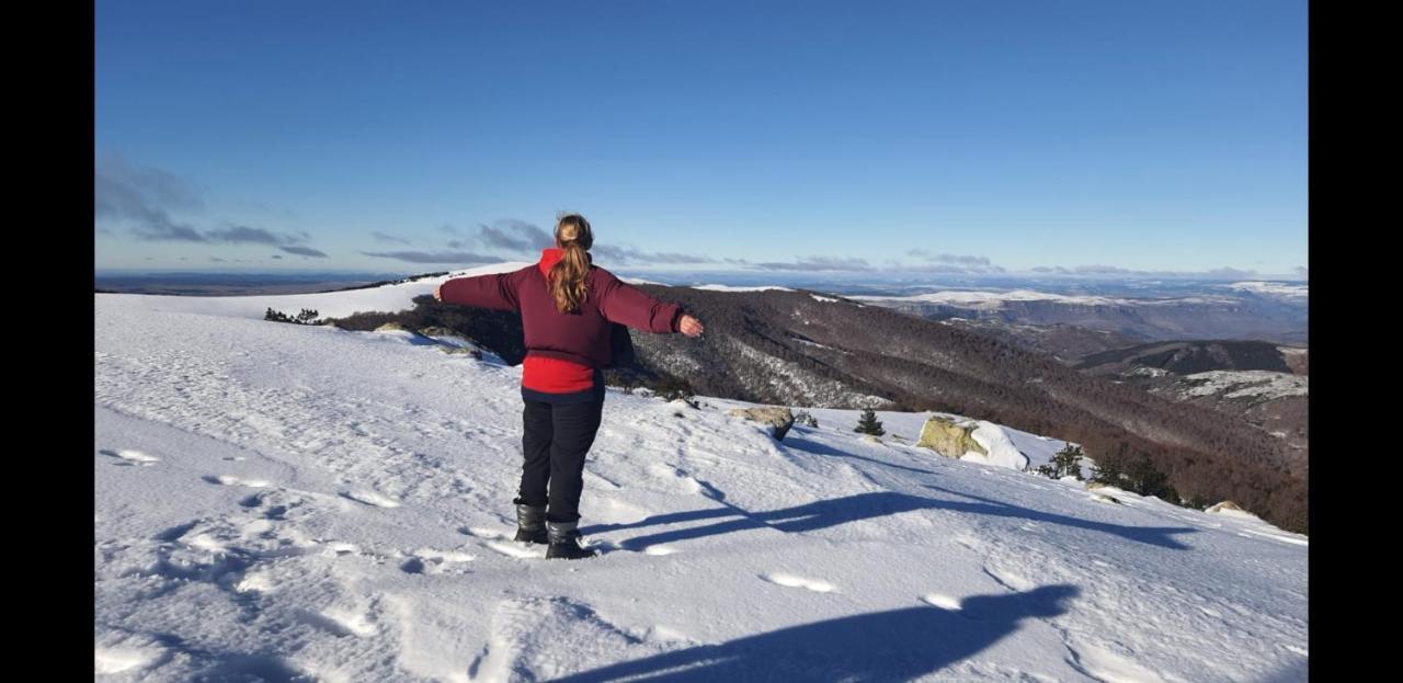 Arre Maison Au Pied Du Parc National Des Cevennesヴィラ エクステリア 写真